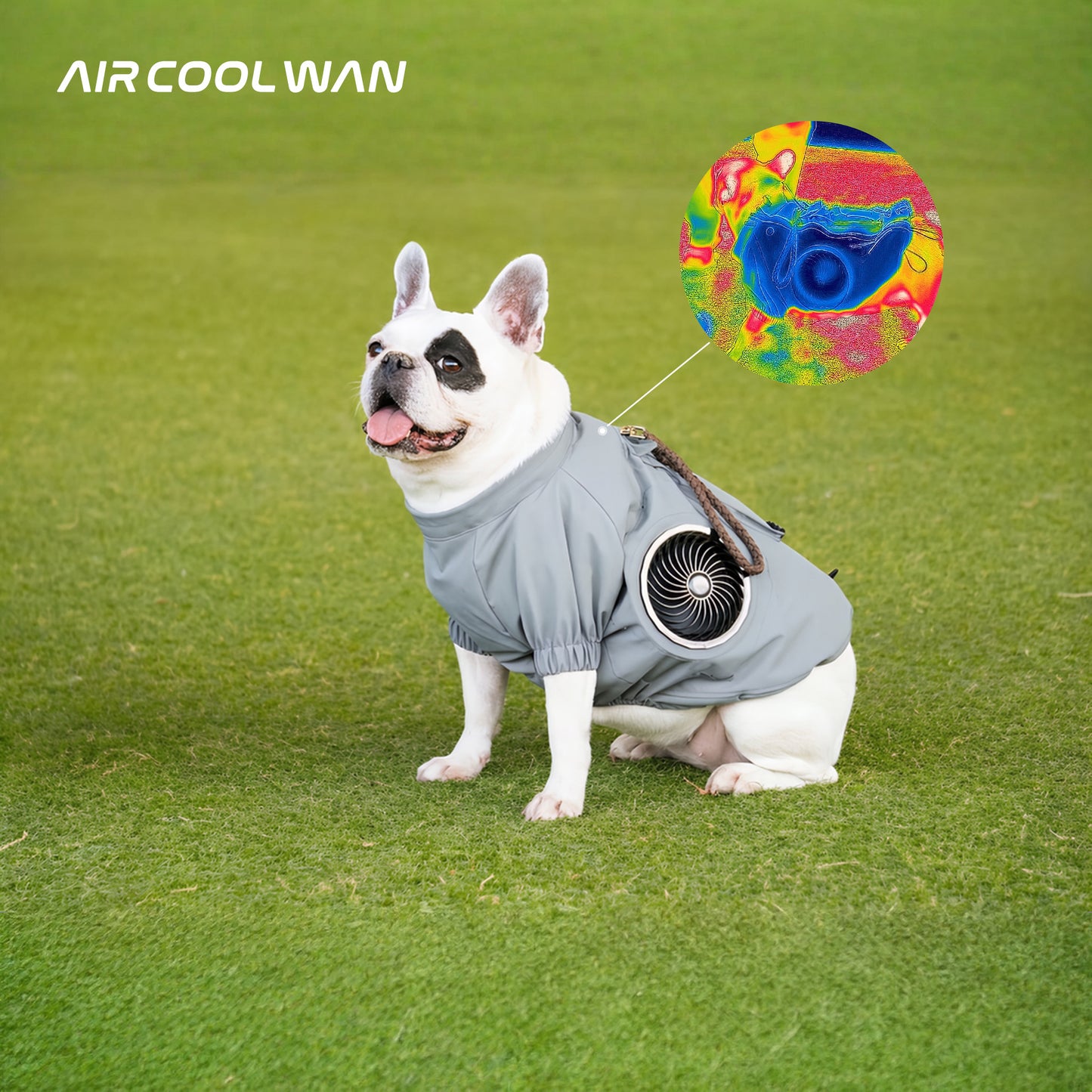 AIR COOL WAN(ウェア単品)