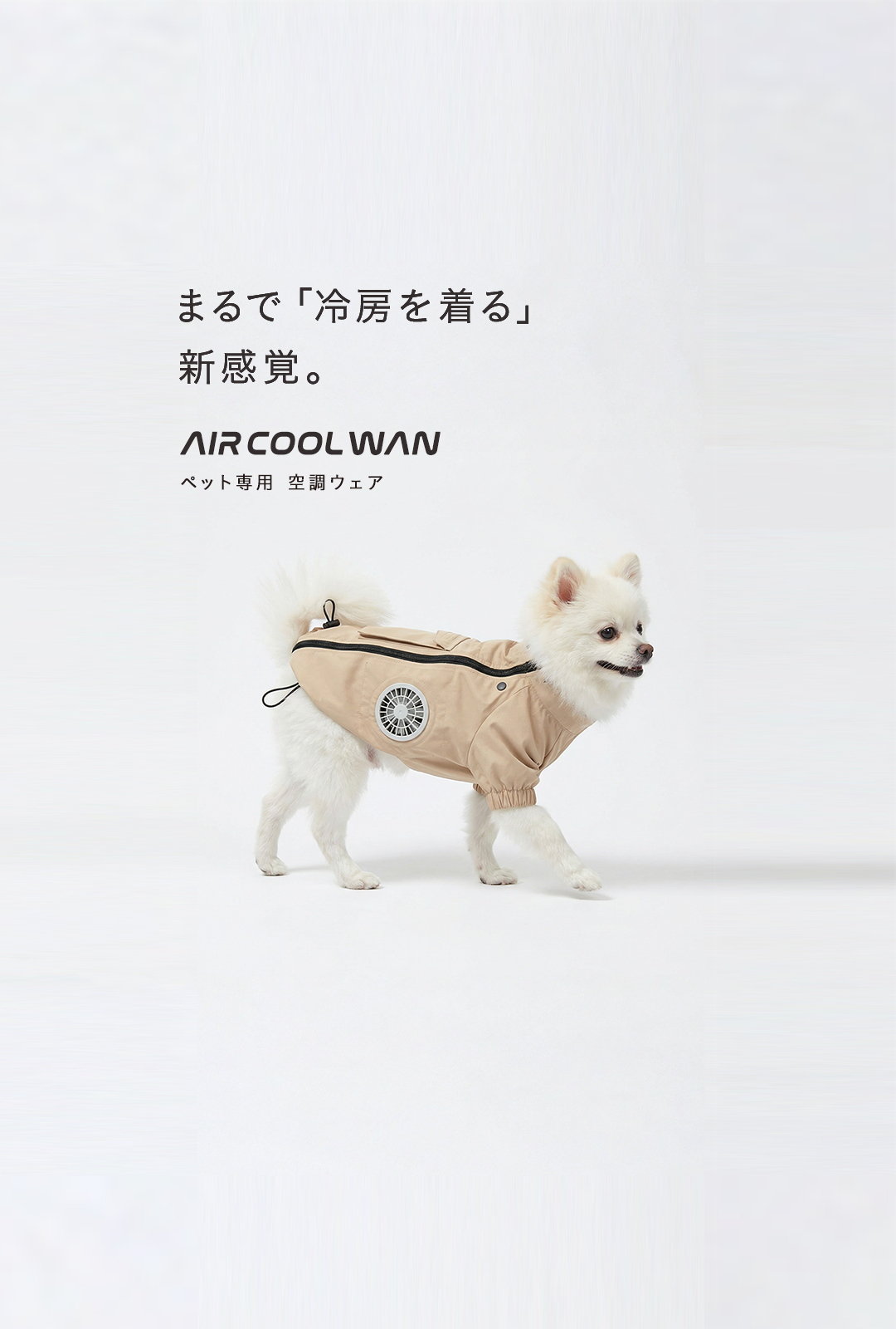 AIR COOL WANを着用した犬