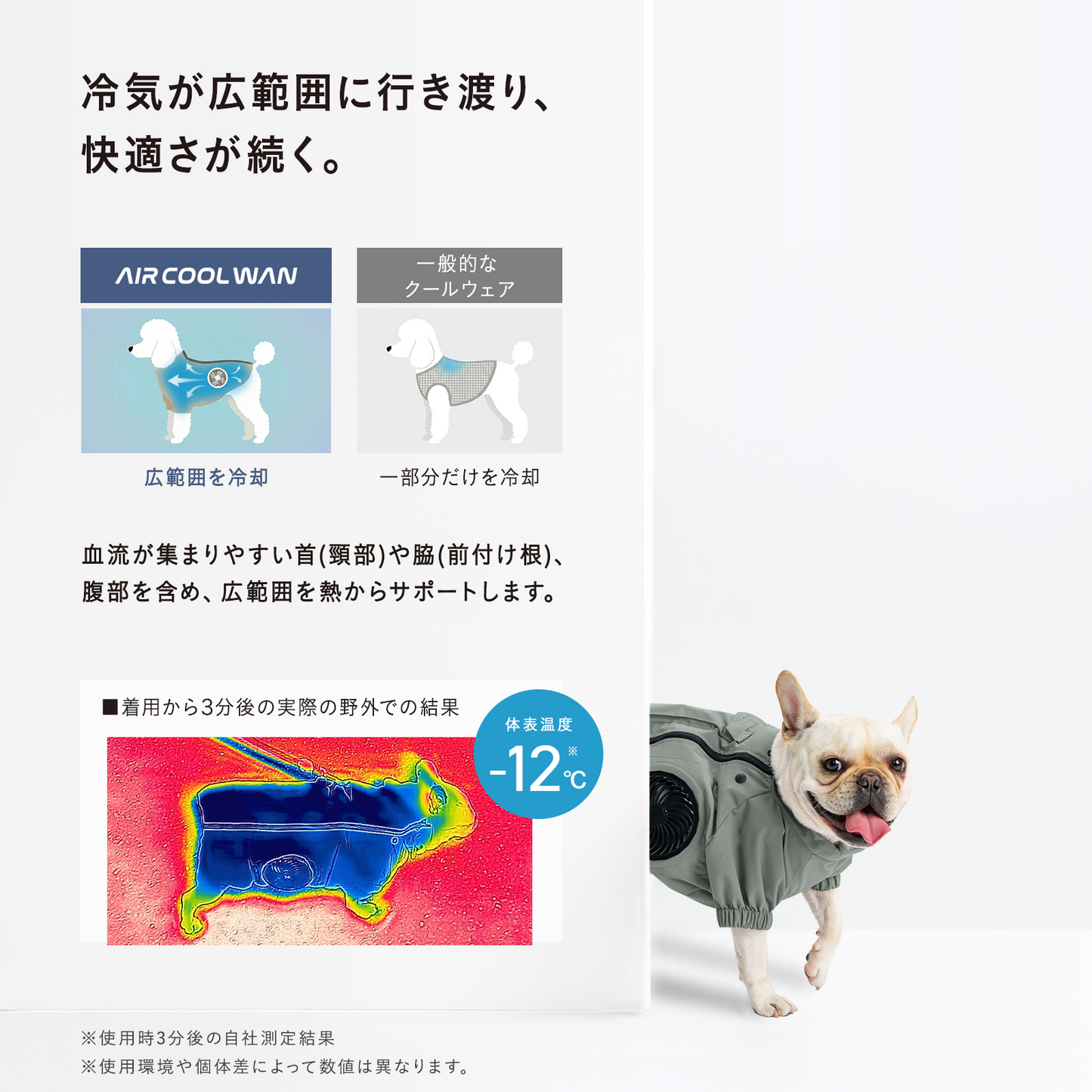 AIR COOL WAN（セット）