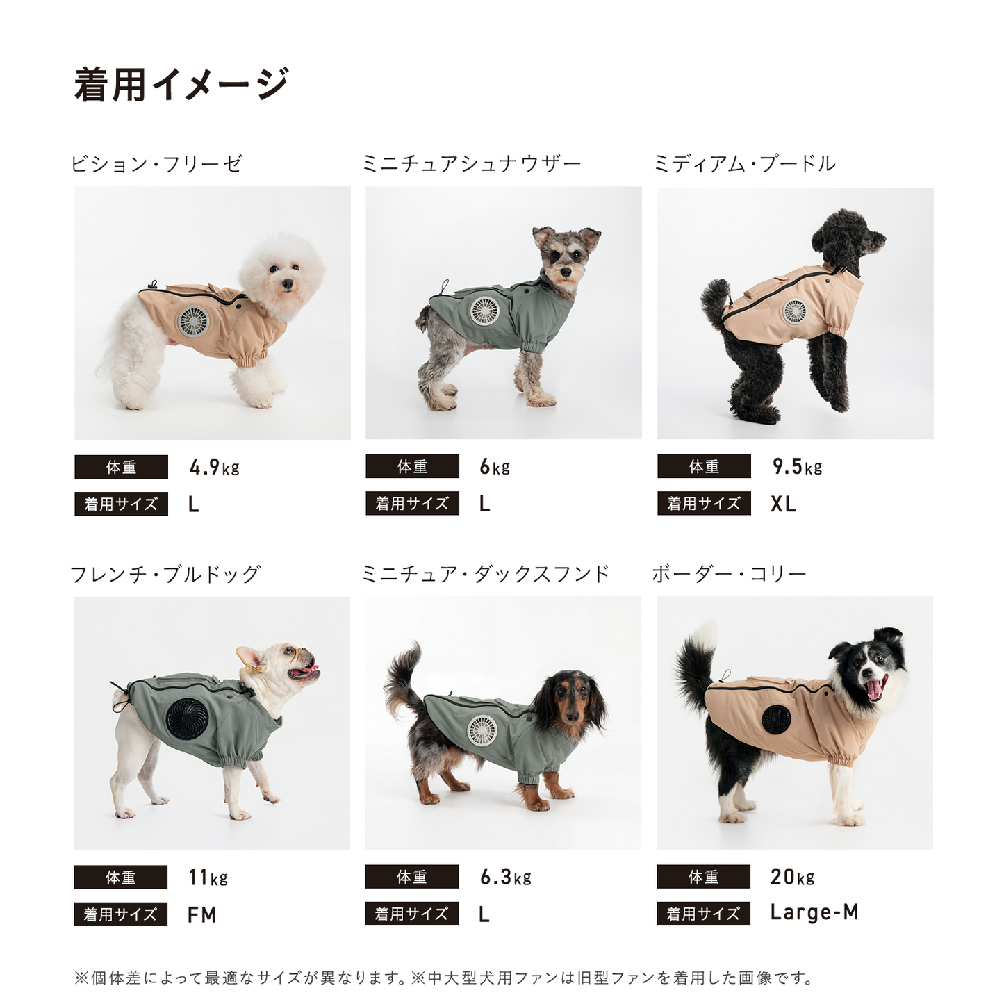 AIR COOL WAN（セット）