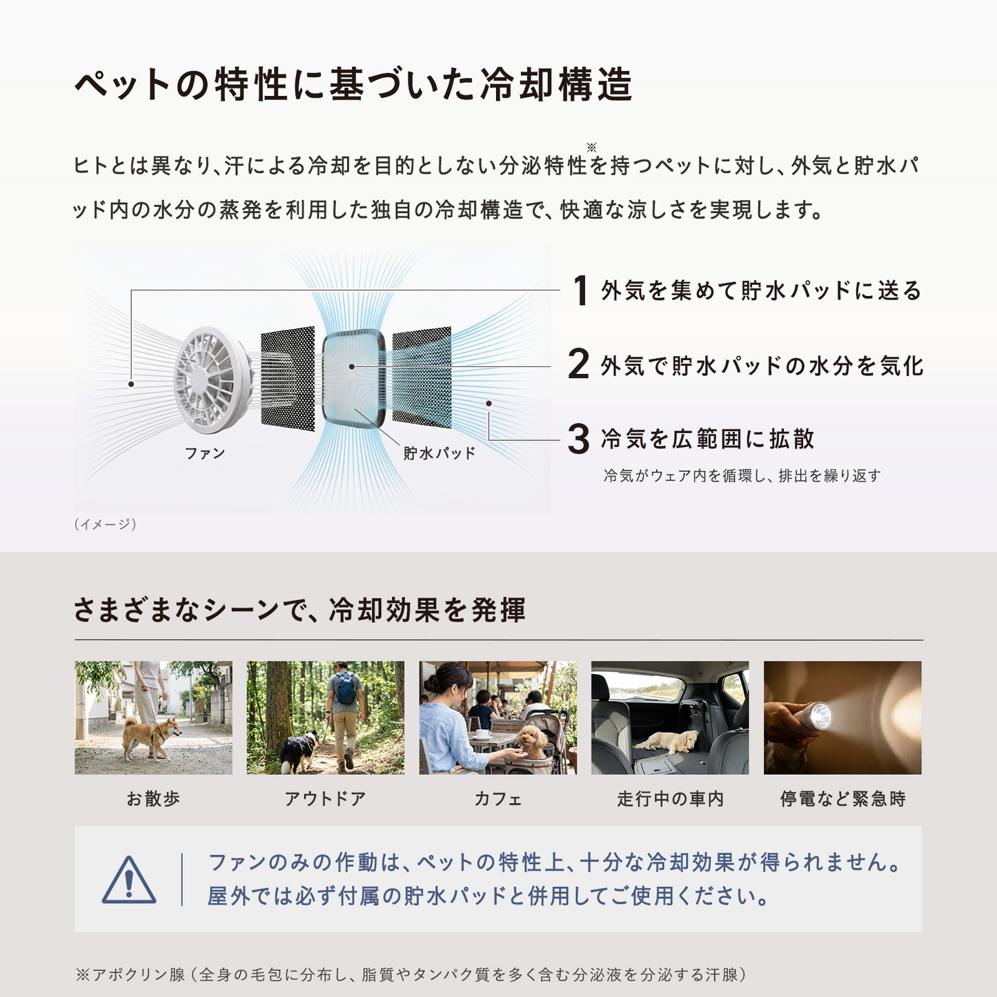 AIR COOL WAN（セット）