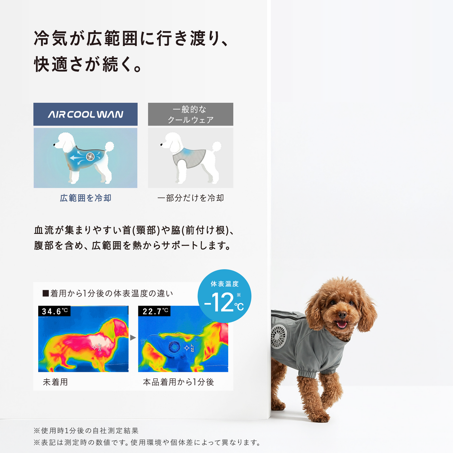 AIR COOL WAN（セット）