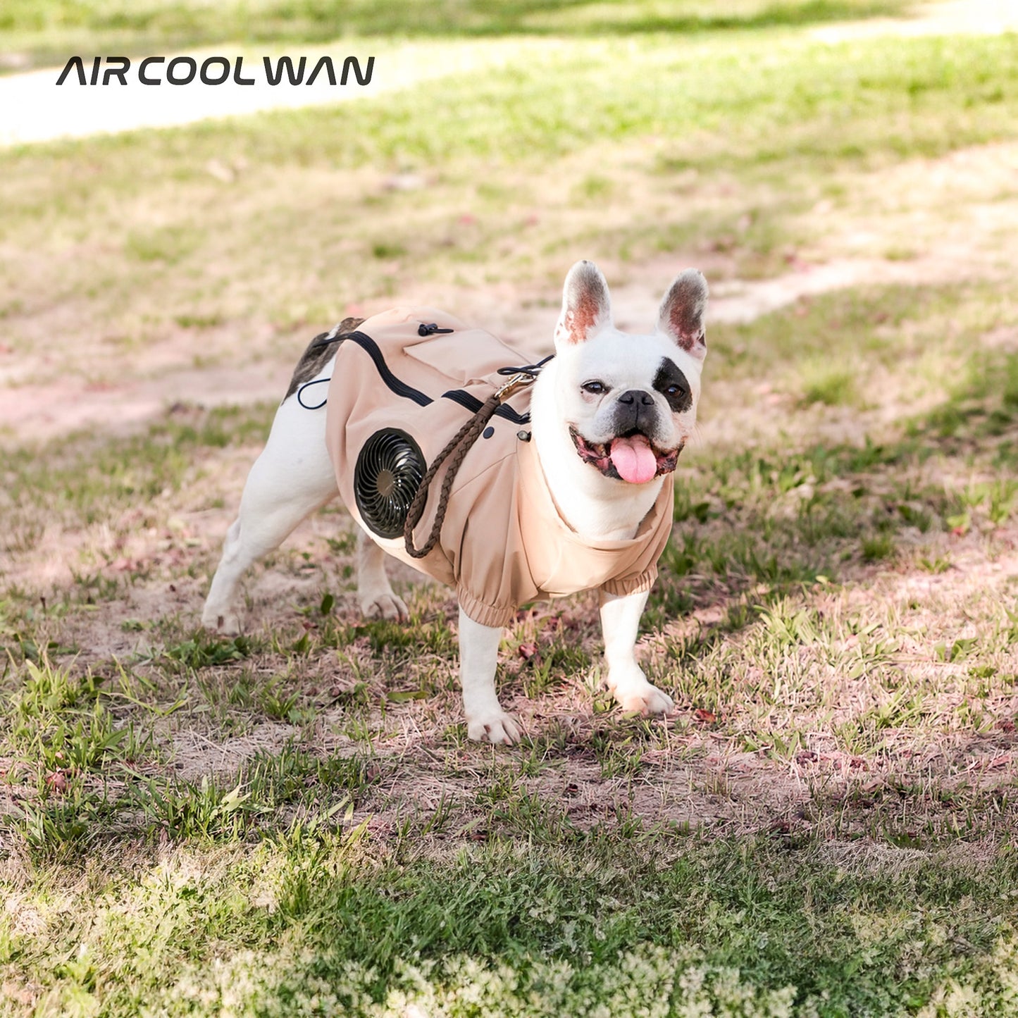AIR COOL WAN（セット）