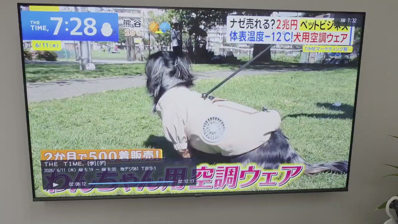 動画を読み込む: 