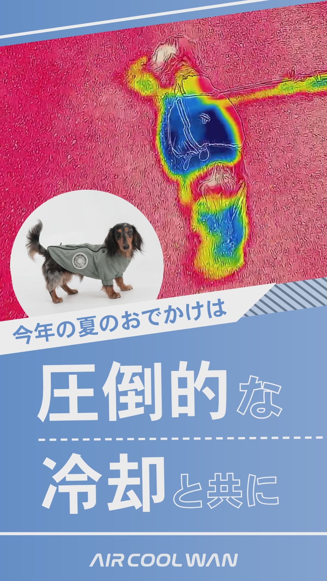 AIR COOL WAN（セット） – GLULU
