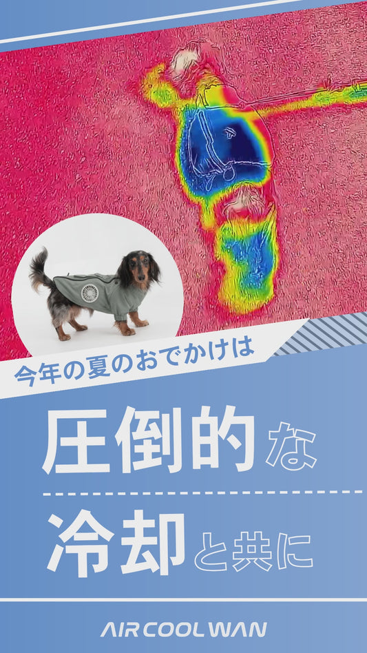 AIR COOL WAN（セット）
